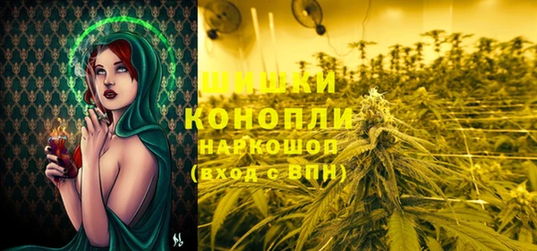 молекула духа Зеленокумск
