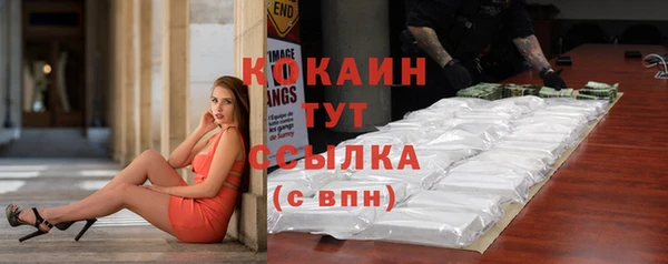 молекула духа Зеленокумск